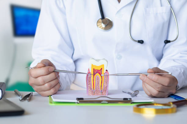Best Emergency Cosmetic Dentistry in North Les, AK